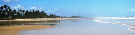 playa,canavieiras,bahia-tropical,Brasil